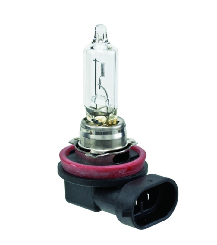 Hella Bulb H9 12V 65W PGJ19-5 T4 - Bull Strap
