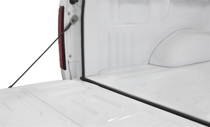 Access Accessories TRAILSEAL Tailgate Gasket 1 Kit Fits All Pickups - Bull Strap