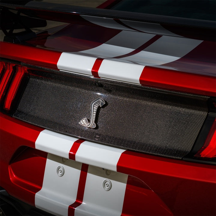 Ford Racing 20-22 Mustang GT500 Deck Lid Trim Panel - Bull Strap