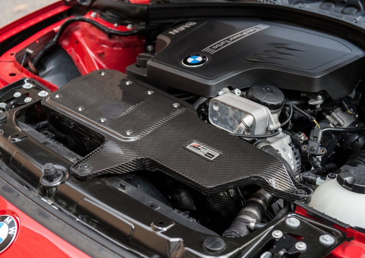 AWE Tuning BMW 228i/320i/328i/428i S-FLO Carbon Intake - Bull Strap