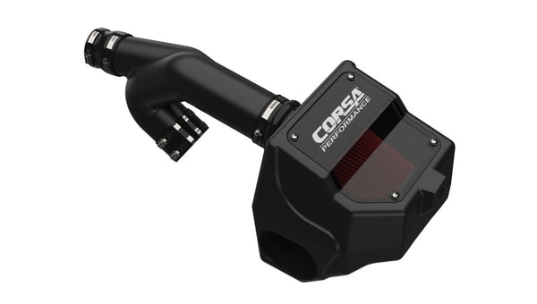 Corsa 2017-2020 Ford F-150 3.5L EcoBoost Cold Air Intake with DryTech air filter - Bull Strap