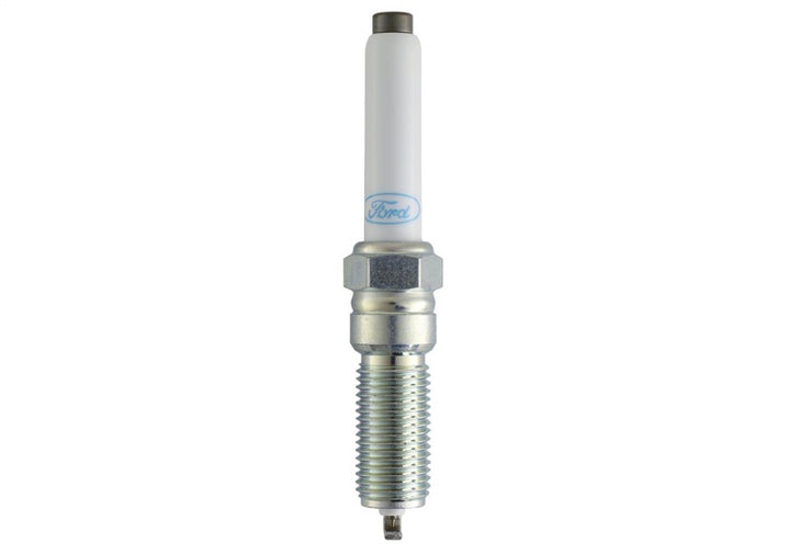 Ford Racing 21-25 F-150 5.0L Coyote (w/Variable Displacement) Cold Spark Plug Set - Bull Strap