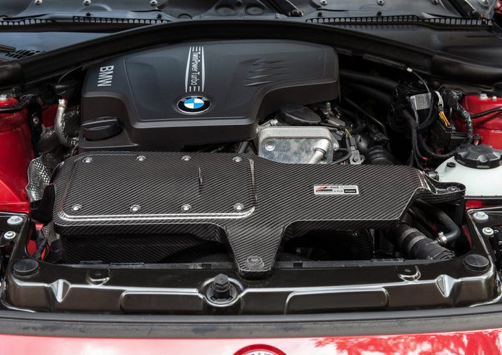 AWE Tuning BMW 228i/320i/328i/428i S-FLO Carbon Intake - Bull Strap