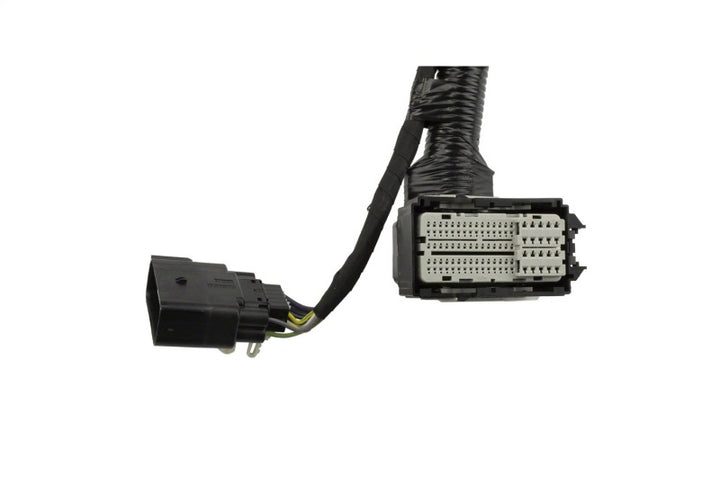 Ford Racing 5.0L Coyote Engine Harness for Automatic Transmission - Bull Strap