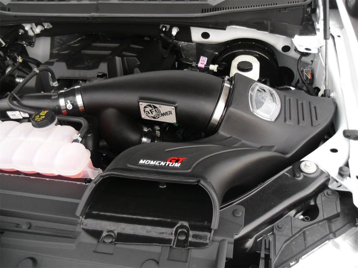 aFe Momentum GT Pro DRY S Intake System 2016 Ford F-150 EcoBoost V6-2.7L/3.5L (tt) - Bull Strap