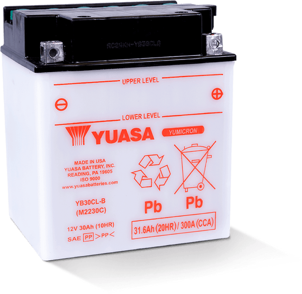 Yuasa YB30CL-B Yumicron CX 12-Volt Battery - Bull Strap