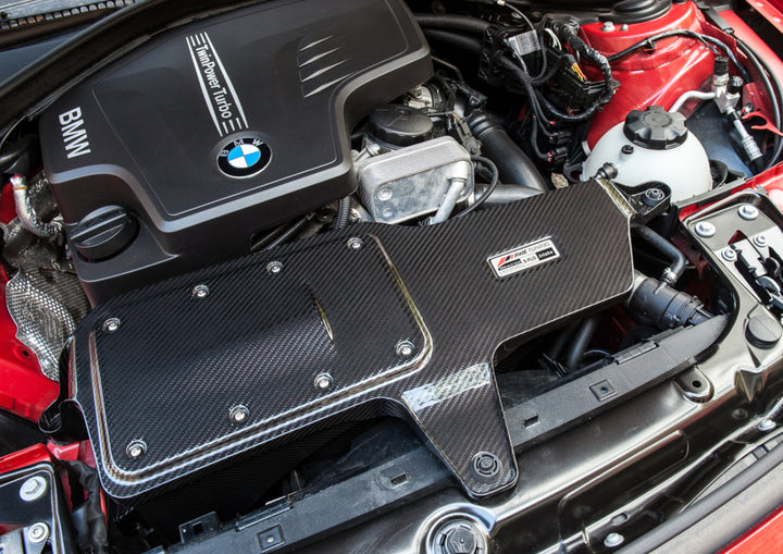 AWE Tuning BMW 228i/320i/328i/428i S-FLO Carbon Intake - Bull Strap