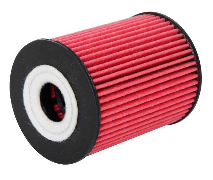 K&N Performance Oil Filter for 15-16 Hyundai Genesis Sedan 3.8L V6 - Bull Strap