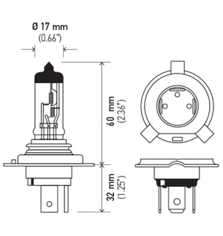 Hella Halogen H4 12V 60/55W Bulb - Bull Strap