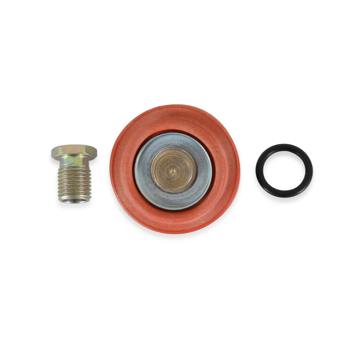 AEM Universal Fuel Pressure Regulator Rebuild Kit - Bull Strap