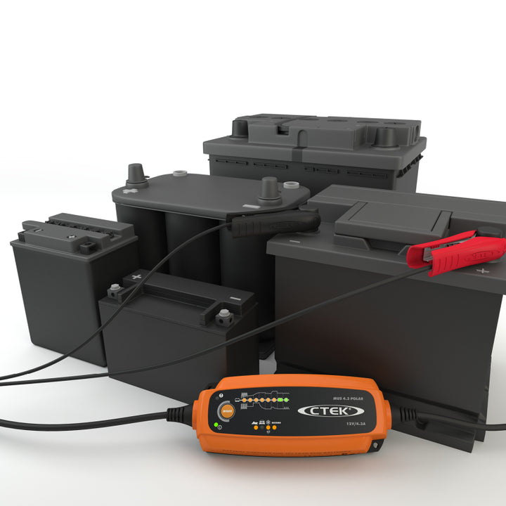CTEK Battery Charger - MUS 4.3 Polar - 12V - Bull Strap