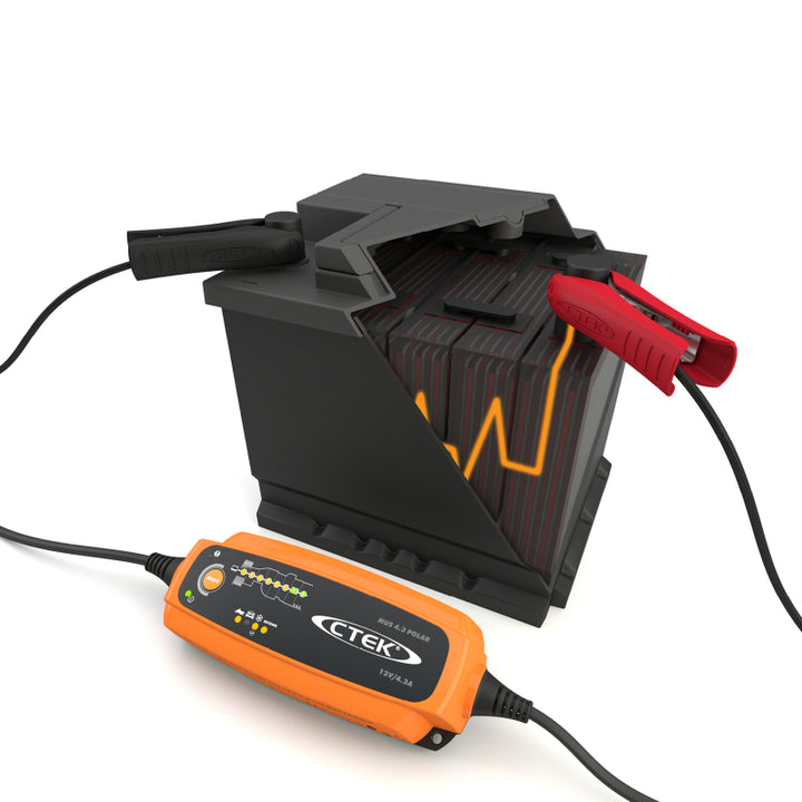 CTEK Battery Charger - MUS 4.3 Polar - 12V - Bull Strap