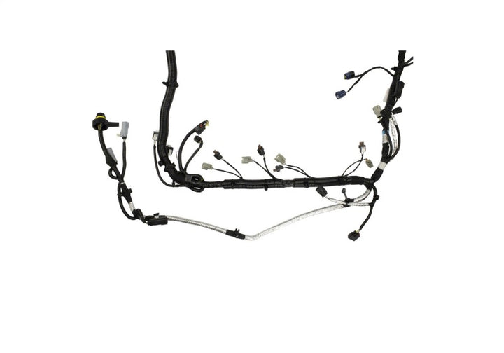 Ford Racing 5.0L Coyote Engine Harness for Automatic Transmission - Bull Strap