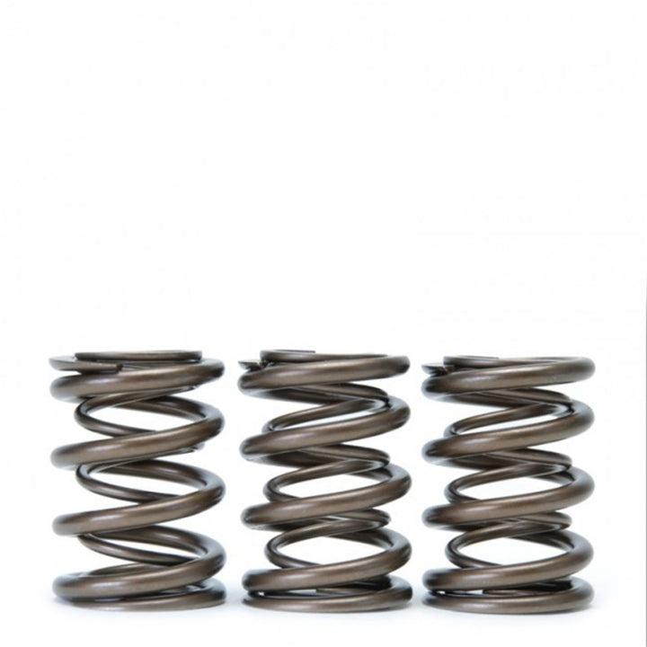 Skunk2 Tuner Series Honda/Acura (B16A/ B17A/ B18C) DOHC VTEC Alpha Valve Spring Set (Dual Springs) - Bull Strap