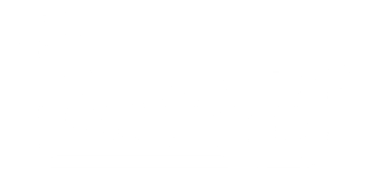 Turbo XS 15-17 Subaru WRX/STi Billet Aluminum License Plate Delete Black Machined WRX Logo - Bull Strap